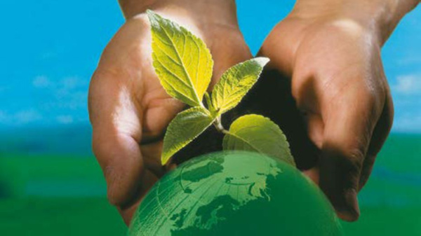 Ответственность